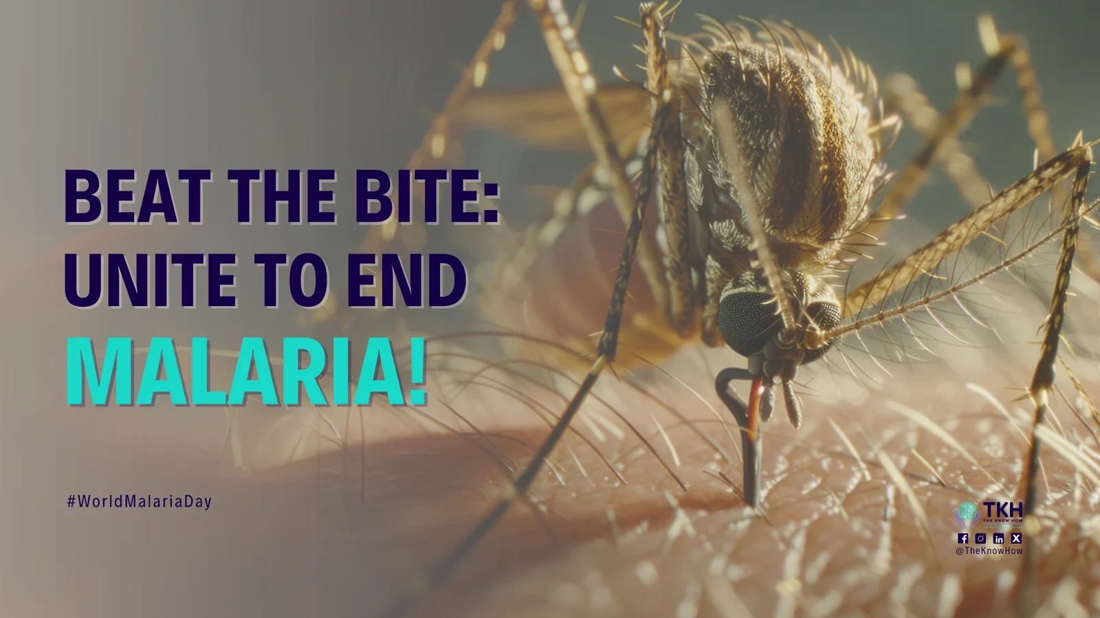 Beat the bite: Unite to end malaria!