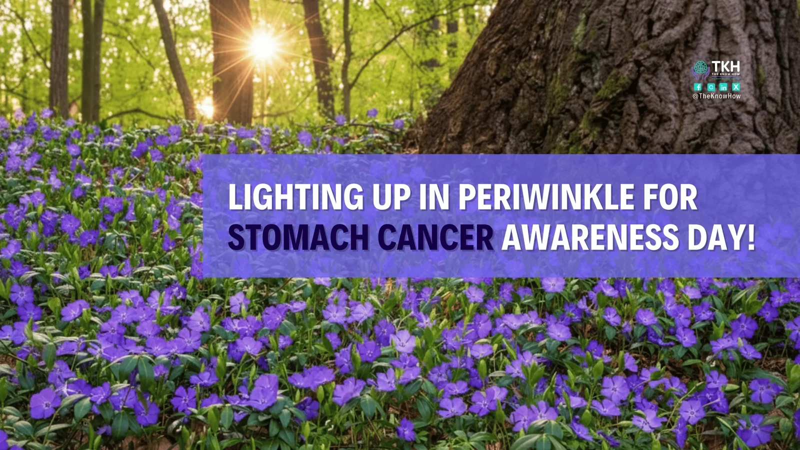 Lighting up in periwinkle for stomach cancer awareness day!