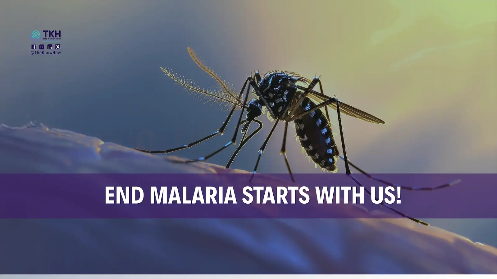 Ending malaria starts with us!